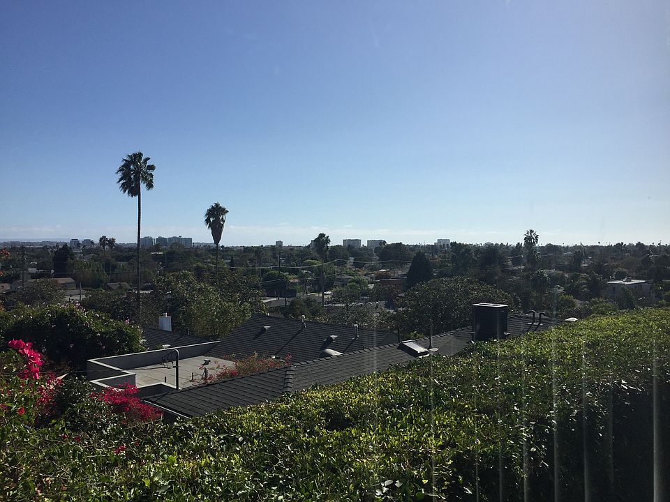 View from Living Room
