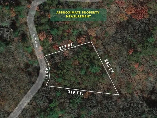 2192 Wildcat Dr #304, Dawsonville, GA 30534