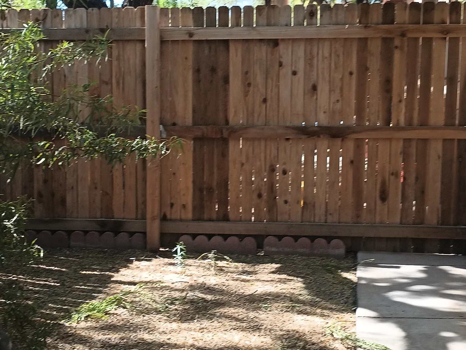 1 bed, 550 sqft, $675 — Photo 3