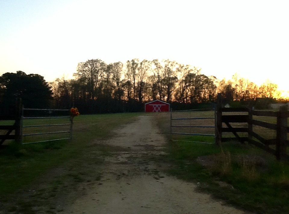 2nd image of 615 Guy Lee Lake Rd