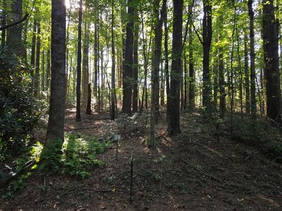 Tbd Evergreen Trl, Fancy Gap, VA, 24328