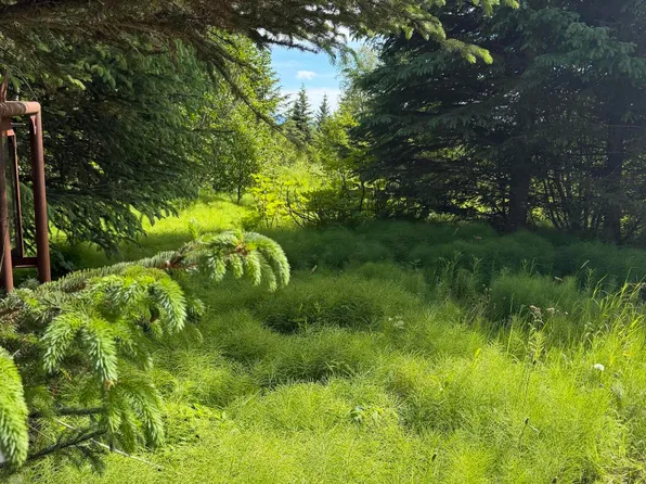 4725 Moon Ln, Homer, AK 99603