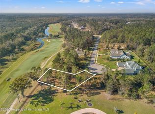 20132 English Walnut Pl, Brooksville, FL 34601
