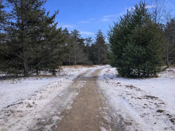 PARCEL 4 Sturgis Rd #2-018-04, Atlanta, MI 49709