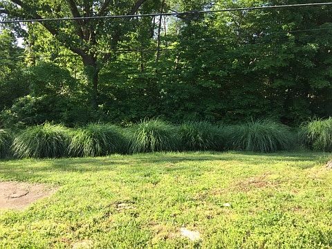 2nd image of 3646 Orchard Rd