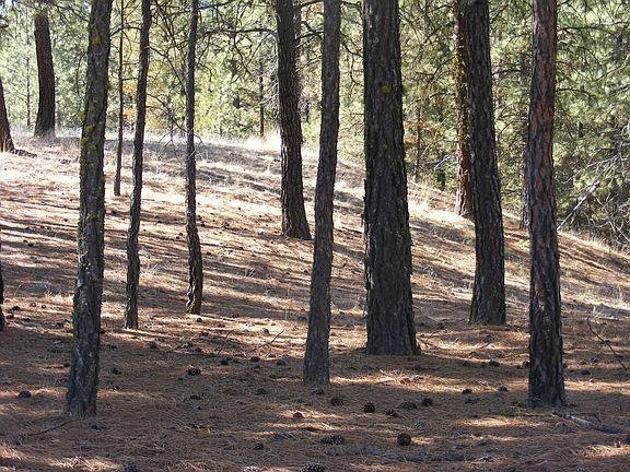 4th image of LOT 33 Crestview Dr