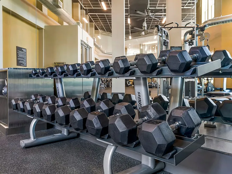 Fitness center with strength equipment