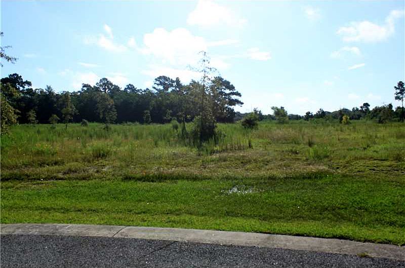 2nd image of Sassafras Way
