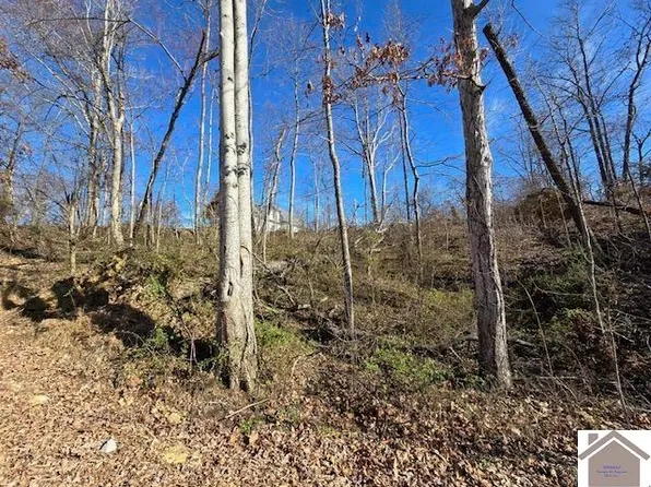 360 Lakeshore Rd, Gilbertsville, KY 42044