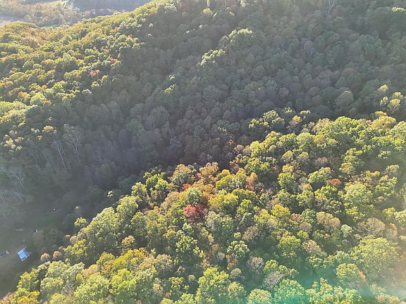 4th image of 487 Tracy Run Rd