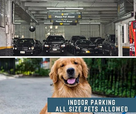 Rented by Area New York | media 23