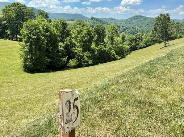 LOT 25 Draft Rd, Butler, TN 37640