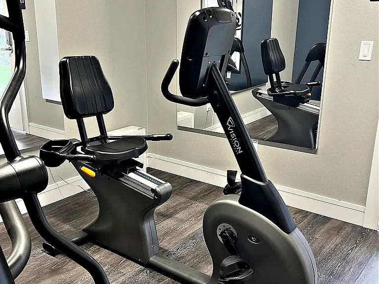 Recumbent Bike in Exercise Room