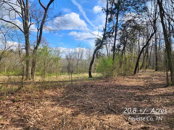 194 Highway, Oakland, TN 38060