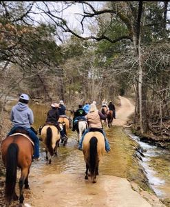 19133 Barrett Ln, Eminence, MO, 65466