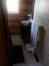 main level bath