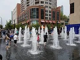Short Walk to Downtown Evanston