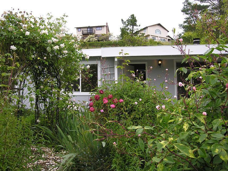 Front yard/house