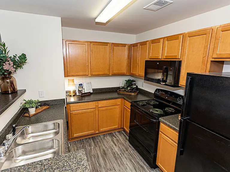 The Pointe at Peters Creek — Photo 16
