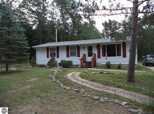 8185 Chain Lake Rd, South Branch, MI 48761