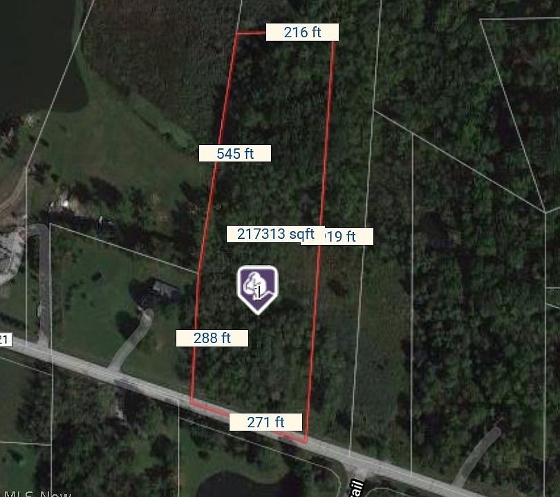 2nd image of Butternut Rd