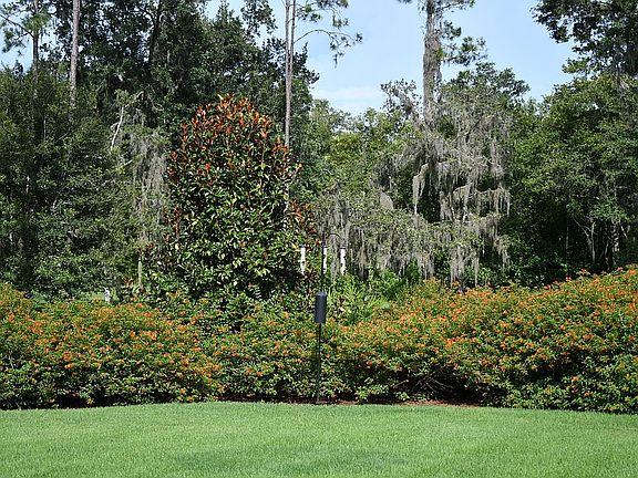 5th image of 17716 Royal Eagle Ln