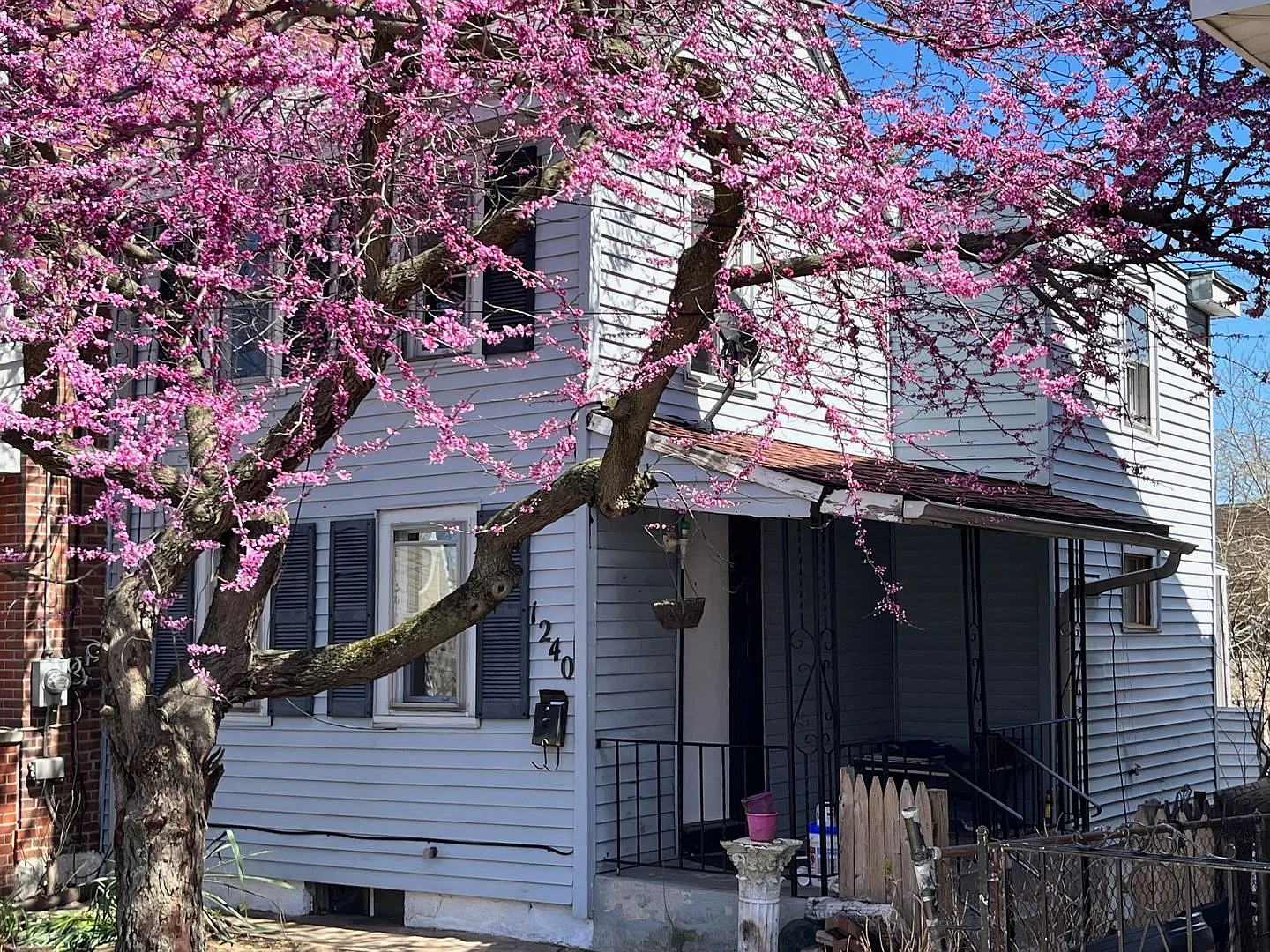 Ohio Ave, Trenton, NJ well-maintained 3-bedroom, 1-bath home — Photo 4