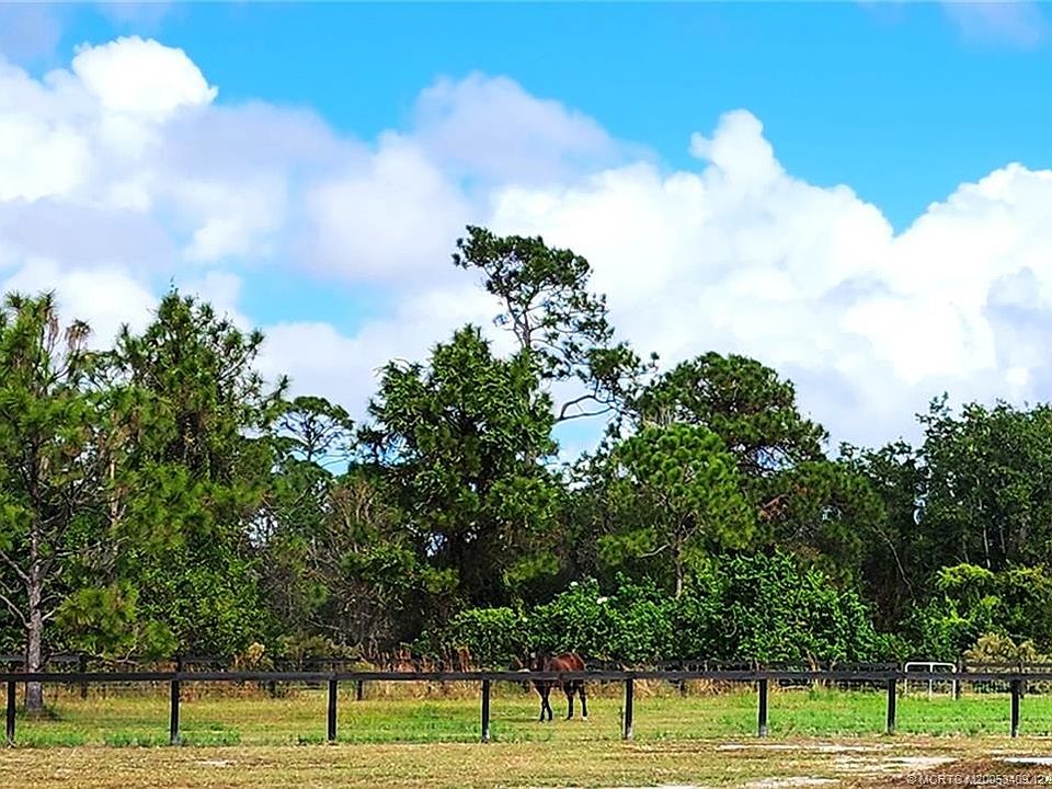 46th image of this home