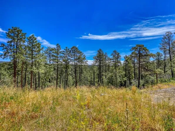 2444 Crooked Road, Pagosa Springs, CO 81147