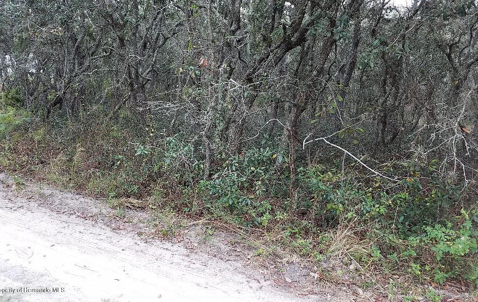 2nd image of 5718 S Butan Point