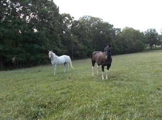 4531 Bado Rd, Cabool, MO 65689