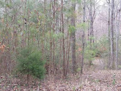 146 Pine St, Monticello, GA, 31064