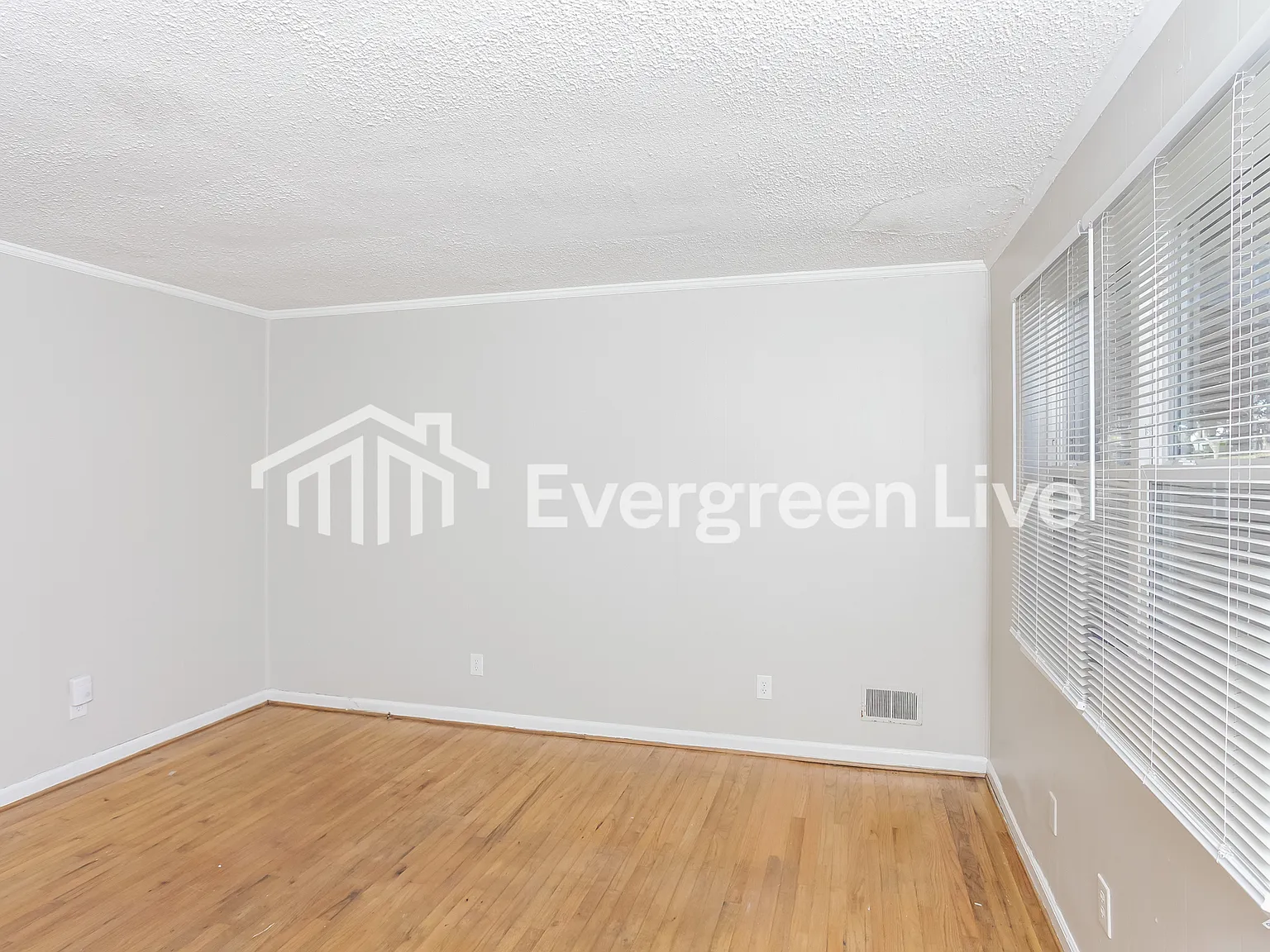 3 bed, 1.0 bath, 1010 sqft, $1,145 — Photo 4