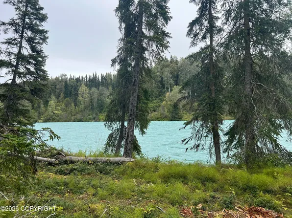 L1 Jackie Ann St, Kasilof, AK 99610