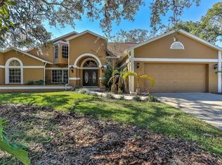 4319 River Birch Dr, Spring Hill, FL 34607