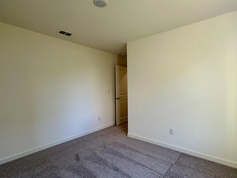 233 Golden Raintree Dr — Photo 20