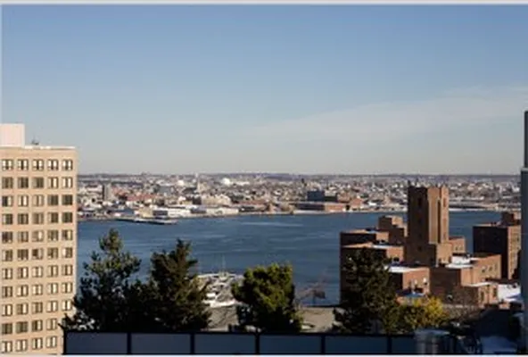 Sold by Avenue Real Estate | media 15