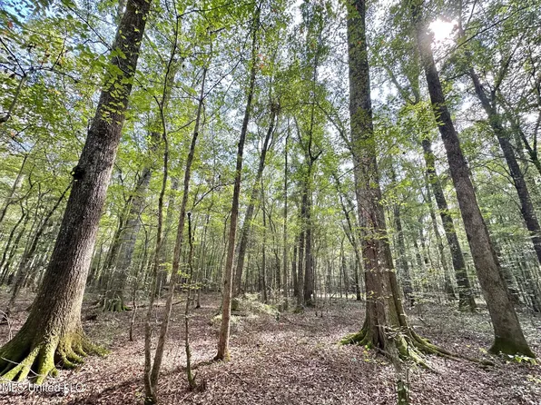 1 Highway 469 N, Florence, MS 39073