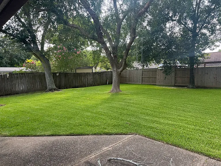 back yard