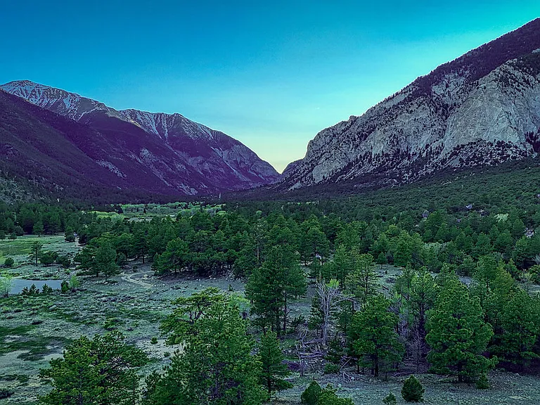 The back acreage goes over the hill to Dead Horse Lake. (A dry lake) Deer like to scamper through here and you will get memorable photos here with the mountains as your backdrop.