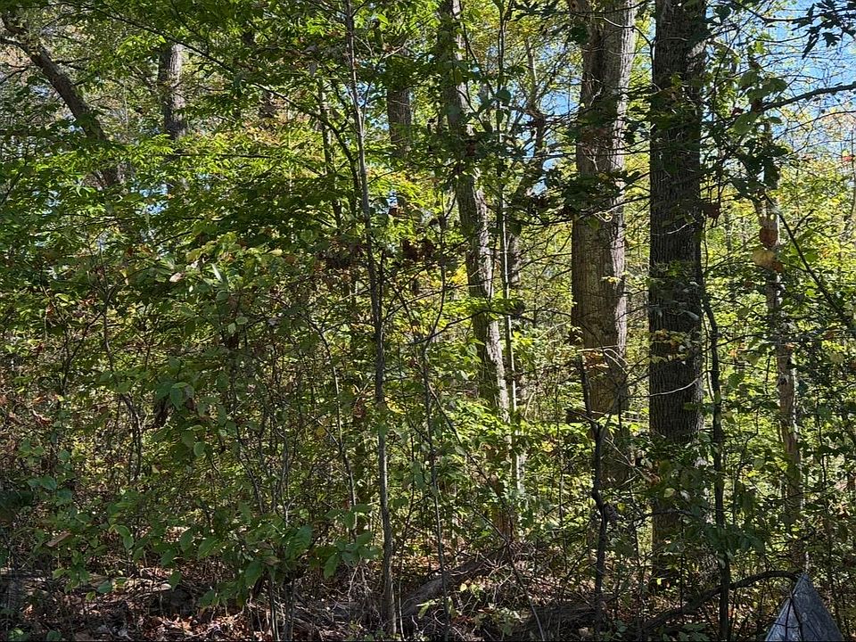 2nd image of Braxton Loop