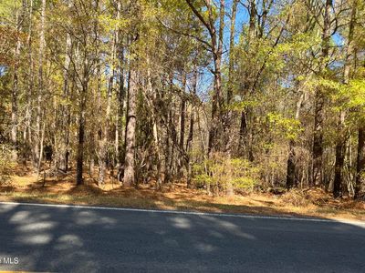 1646 Morgan Sellers Road, Wadesboro, NC, 28170