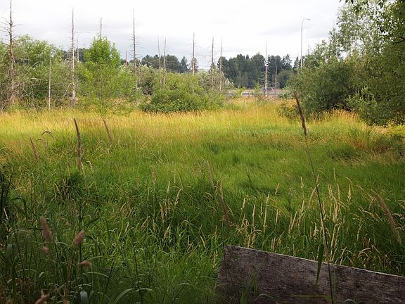 3rd image of 5110 192nd Pl NE