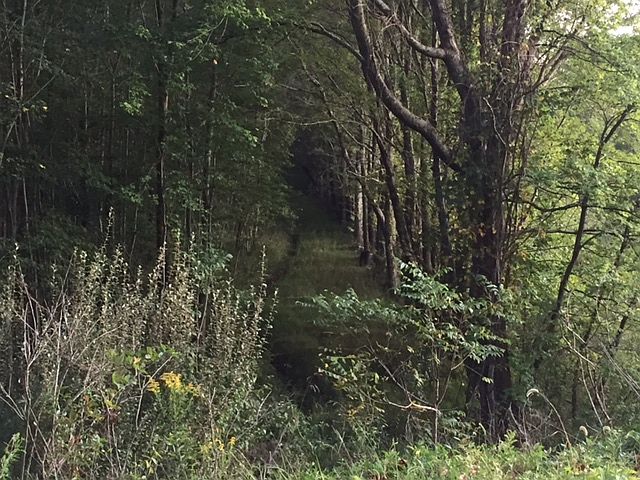 1st image of 1313 Bratton Br