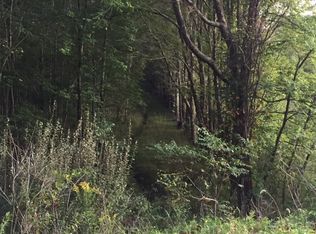 1313 Bratton Br, Morehead, KY 40351