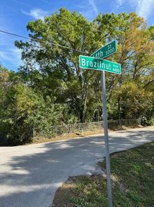 Brazilnut Ave LOT 1, Sarasota, FL, 34234