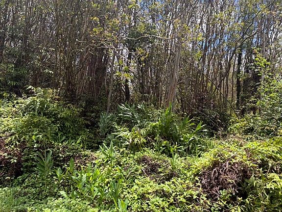 5th image of Huleia Pl Lot 31