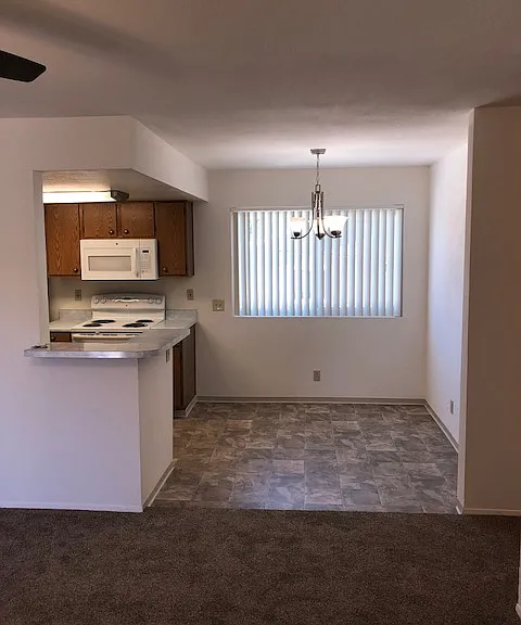 3937 Texas St #8 — Photo 5