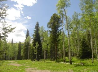 20381 King Bolt Trl, Oak Creek, CO 80467