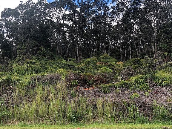 5th image of Alii Anela St Lot 402